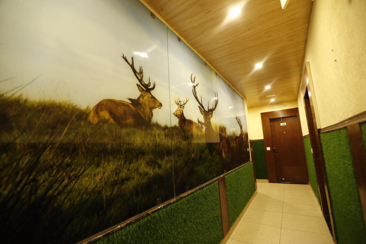 Hotel Kings Inn Мусори Екстериор снимка